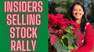 Big Tech Drove Stock Market Rally As Insiders Sold Record Stocks In 2021